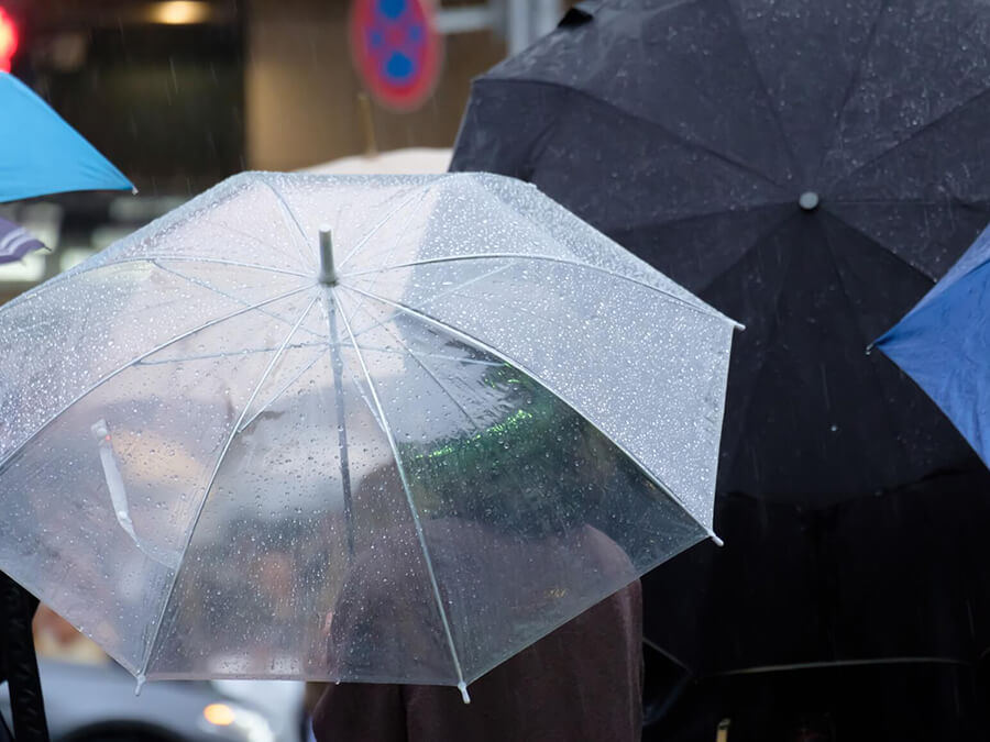 雨